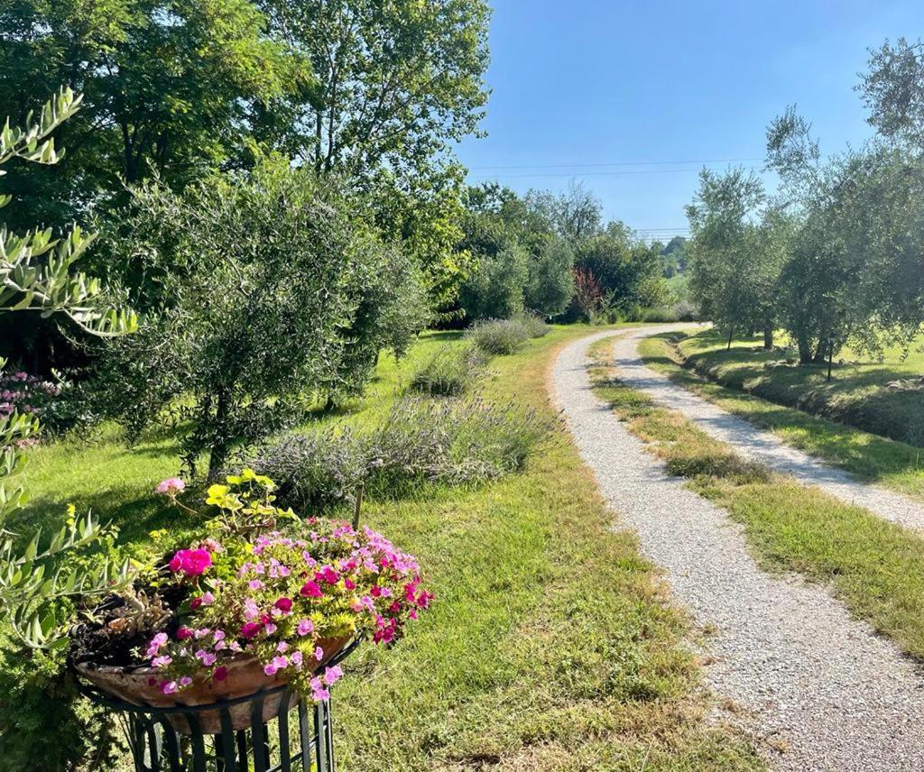 B&B Rosaverde Mulazzano Zewnętrze zdjęcie