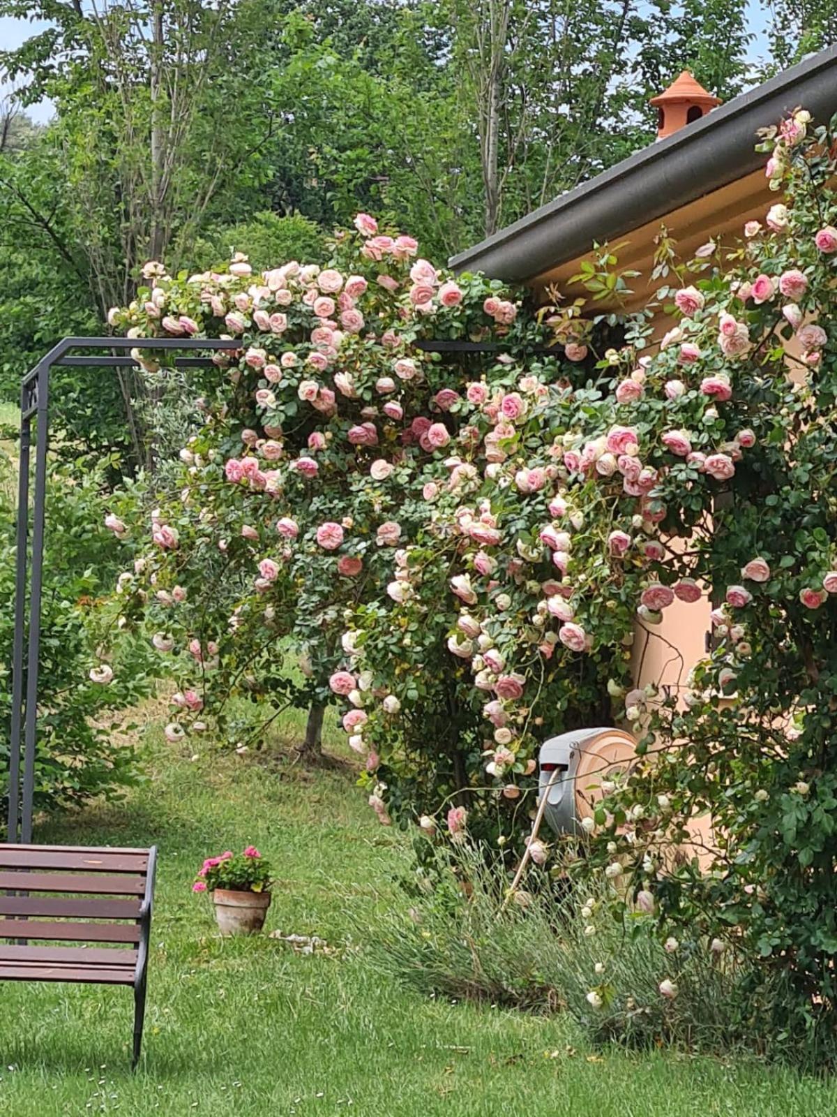B&B Rosaverde Mulazzano Zewnętrze zdjęcie